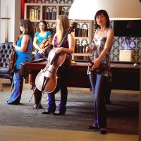 Photo - The Akina String Quartet